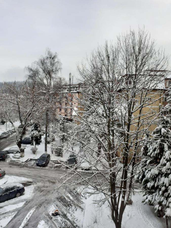 Apartament Ultra Central Marly Gura Humorului Dış mekan fotoğraf